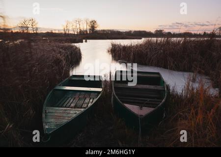 Bateaux de pêche amarrés dans les roseaux du lac Banque D'Images