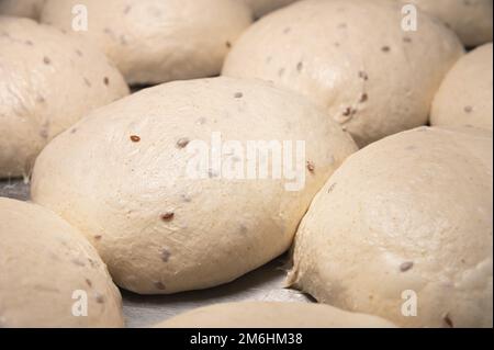 Gros plan de petits pains de hamburgers casher faits maison sur une plaque de cuisson. Petits pains crus Banque D'Images