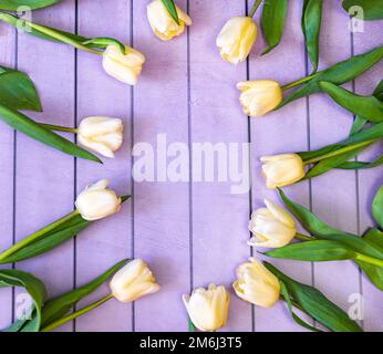 Tulipes jaunes sur fond Banque D'Images