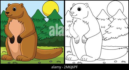 Marmot Animal coloriage page Illustration colorée Illustration de Vecteur