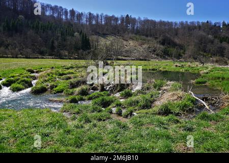 Réserve naturelle de la vallée de Fehla sur l'Alb souabe ; Allemagne Banque D'Images