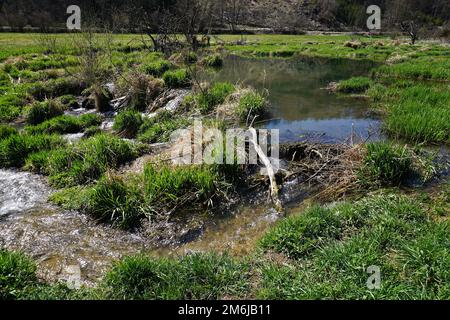 Réserve naturelle de la vallée de Fehla sur l'Alb souabe ; Allemagne Banque D'Images