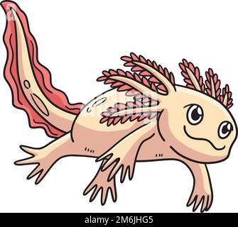 Motif animal marin axolotl Clipart coloré Illustration de Vecteur