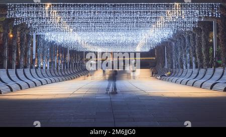 Le contour d'un enfant sur un scooter parmi les personnes passant par le long de la allée du parc en soirée illuminée par des guirlandes suspendues. Sélectionnez Banque D'Images