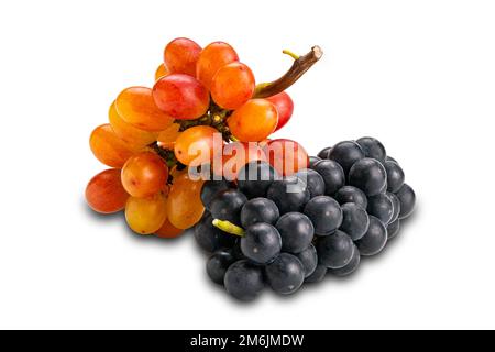 Bouquet de raisins noirs mûrs et de raisins rouges Crimson sans pépins isolés sur fond blanc. Banque D'Images