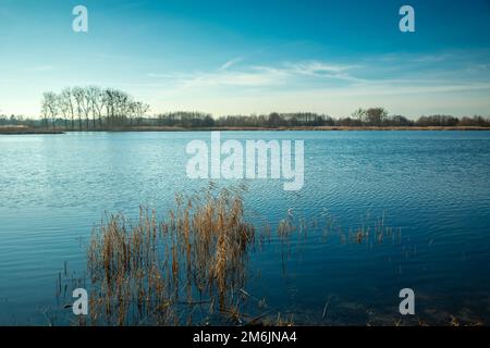 Un lac intensément bleu dans l'est de la Pologne Banque D'Images