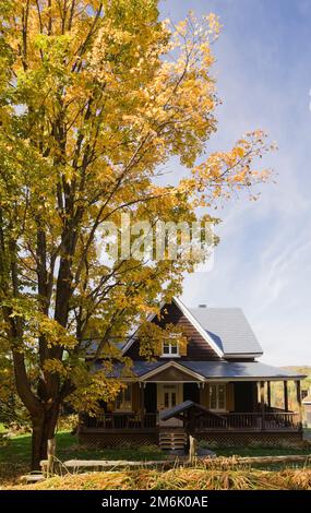 Ancienne planche de bois brun 1877 ajoutée avec garniture blanche et jaune maison de style cottage avec Acer - Maple Tree en automne. Banque D'Images