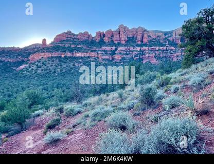 Paysages désertiques randonnée sedona arizona scottsdale joshua Tree White Dog voyage tourisme aventure plein air nature route voyage Banque D'Images