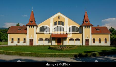 La ferme nationale de Stud à Topolcianky. Slovaquie. Le centre est connu comme étant l'un des plus importants centres de reproduction en tout Banque D'Images