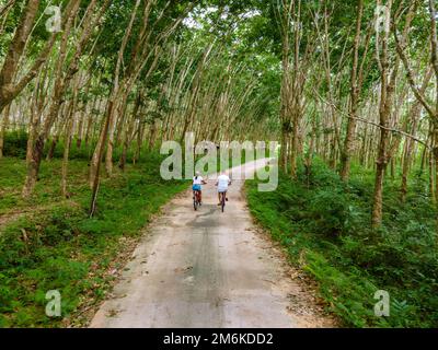 Couple hommes et femme à vélo dans la jungle de Koh Yao Yai Thaïlande, hommes et femme à vélo à côté d'une plantation de caoutchouc à l'intérieur Banque D'Images