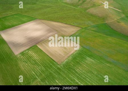 La composition géographique des champs cultivés Banque D'Images