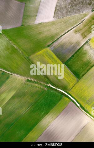 La composition géographique des champs cultivés Banque D'Images