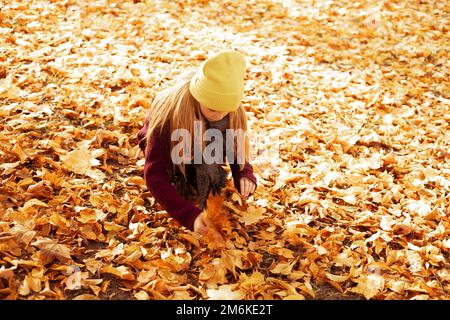 Portrait d'une jeune fille adolescente occupée qui s'asseyait dans la forêt du parc, ramassant des feuilles d'érable jaune déchue en bouquet. Banque D'Images