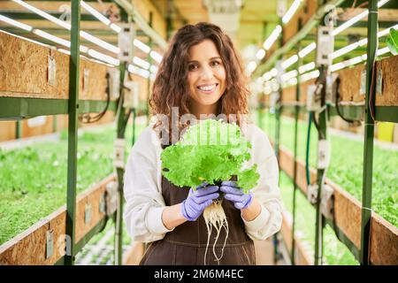 Portrait de la joyeuse femme jardinière tenant la laitue verte en serre. Jeune femme gaie en gants de jardin avec plante verte dans les mains debout sur un arrière-plan flou. Banque D'Images