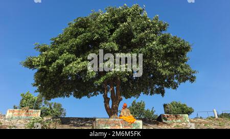 INDE, UTTARAKHAND, RISHIKESH, octobre 2022, Homme méditant sous l'arbre près de Ganga Ghat Banque D'Images