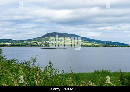 Vue sur la réserve de Wildfowl à l'échelon de l'Inch Swilly Banque D'Images