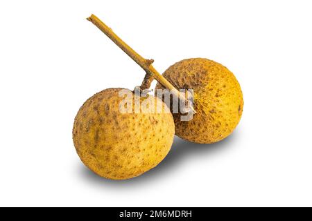 Fruit mûr frais de longan avec tige isolée sur fond blanc. Banque D'Images