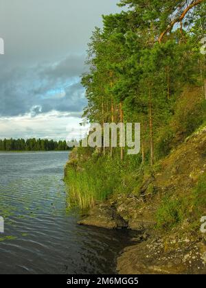 Pins sur la côte rocheuse escarpée du lac. Banque D'Images