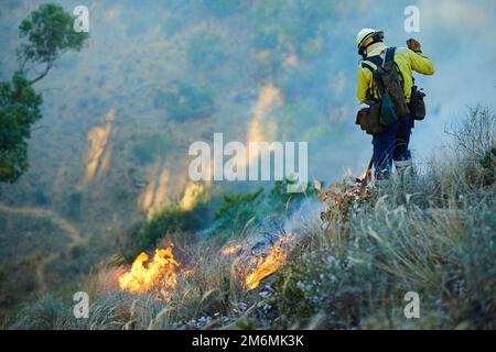 Analyse des dommages. pompiers combattant un feu sauvage. Banque D'Images