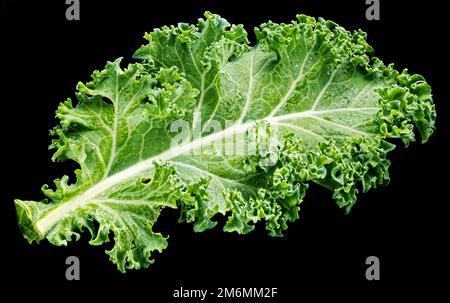 Feuille de salade kale isolée sur fond noir, vue de dessus Banque D'Images