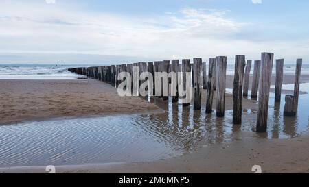 groynes sur la plage de sable au bord de la mer faits de pieux de bois abîmés dans le faible soleil du matin en hiver Banque D'Images