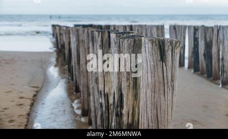 groynes sur la plage de sable au bord de la mer faits de pieux de bois abîmés dans le faible soleil du matin en hiver Banque D'Images