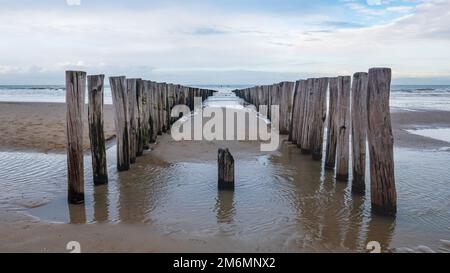 groynes sur la plage de sable au bord de la mer faits de pieux de bois abîmés dans le faible soleil du matin en hiver Banque D'Images