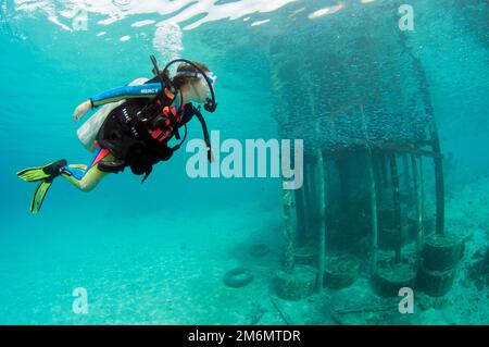 Fille de 9 ans plongée regardant l'école de petits poissons par jetée, après 1 site de plongée, île de Menjangan, Buleeng, Bali, Indonésie Banque D'Images