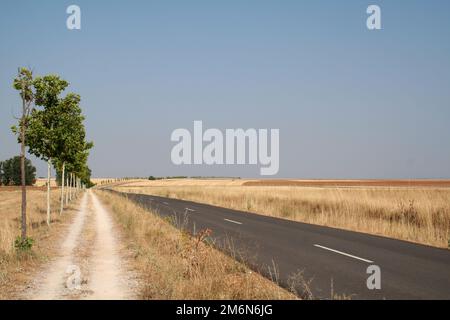 Ultreia ! Et Suseia ! Pas d'ombre en une dure journée de marche sous le soleil chaud - Meseta - El Camino de Saint-Jacques-de-Compostelle Banque D'Images