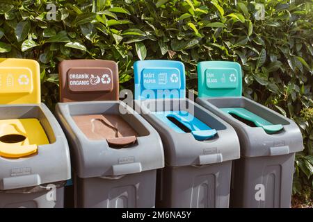 Conteneurs de déchets de couleur pour le tri séparé des déchets. Bacs de recyclage différents types de déchets plastique, verre, papier, T Banque D'Images