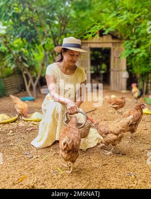 Femmes asiatiques dans une maison d'Eco Farm avec un champ de riz dans le centre de la Thaïlande nourrissant du poulet Banque D'Images