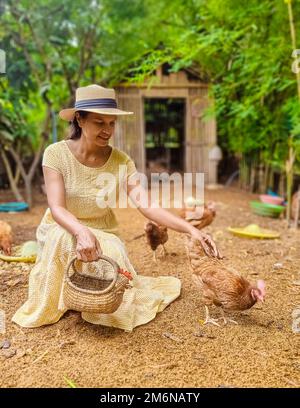 Femmes asiatiques dans une maison d'Eco Farm avec un champ de riz dans le centre de la Thaïlande nourrissant du poulet Banque D'Images