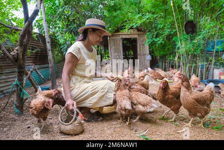 Des femmes asiatiques dans une ferme Eco Homestay nourrissant du poulet dans une ferme en Thaïlande Banque D'Images