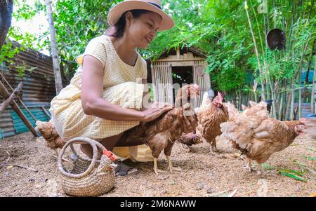 Des femmes asiatiques dans une ferme Eco Homestay nourrissant du poulet dans une ferme en Thaïlande Banque D'Images