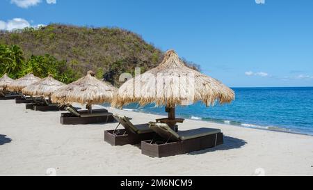 Chaises de plage et parasols sur une plage tropicale à Sainte-lucie, plage blanche avec palmiers des Caraïbes Banque D'Images