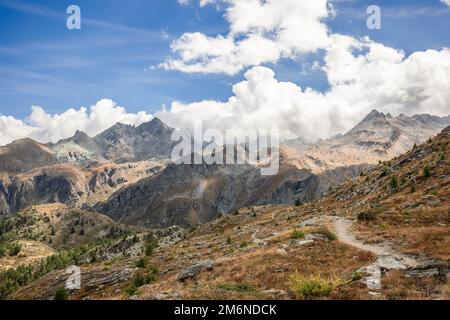 Sentier de randonnée alpin sur une pente de granit recouverte d'herbe d'automne jaunée et de rares arbres nains dans la vallée d'Aoste, parc national de Gran Paradiso Banque D'Images