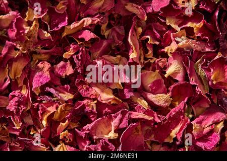 Pétales de rose naturellement séchés, plein cadre. Banque D'Images