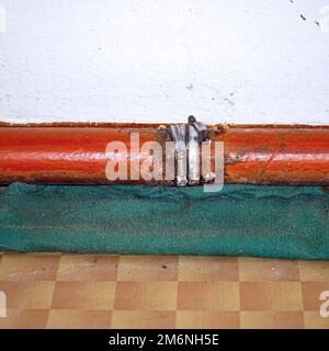 Fixer le raccord sur un tuyau d'eau qui fuit. Mise au point sélective Banque D'Images