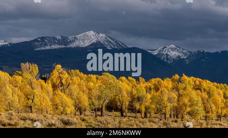 Arbres ensoleillées en automne le long de la rivière gros-ventre Banque D'Images