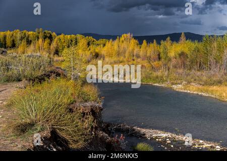 Vue sur la rivière gros-ventre en automne Banque D'Images