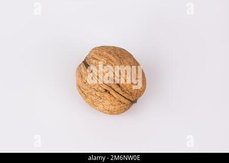 Noyer en coquille isolé sur fond blanc. Un coup de pouce pour la journée. Le concept de nutrition appropriée. Petit déjeuner savoureux Banque D'Images