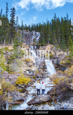 Les chutes de Tangle Creek dans le parc national Jasper, au Canada, en automne, le long de la promenade Icefields Banque D'Images