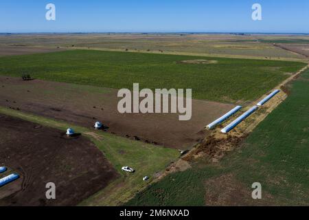 Campagne Argentine, production agricole dans la province de Buenos Aires, Argentine Banque D'Images