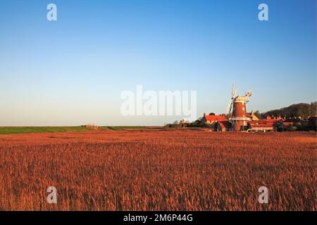 Vue sur le moulin à vent sur les lits de roseaux en fin d'après-midi d'hiver dans le nord de Norfolk à CLEY Next the Sea, Norfolk, Angleterre, Royaume-Uni. Banque D'Images