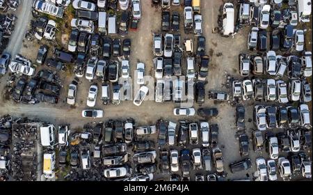 Junkyard avec des voitures brisées jetées Banque D'Images