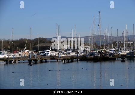 Des bateaux à voile amarrés à Glasson Dock Marina sur la rivière Lune près de Lancaster dans le Lancashire, Angleterre, Royaume-Uni. Banque D'Images