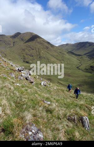 Deux hommes marchant vers le haut 'meall an Uillt Chhuile' sur le Corbett 'treap' avec 'Streap Comhlaidh' dans le fond au-dessus de Gleann Dubh Lighe près de Glenfinnan. Banque D'Images