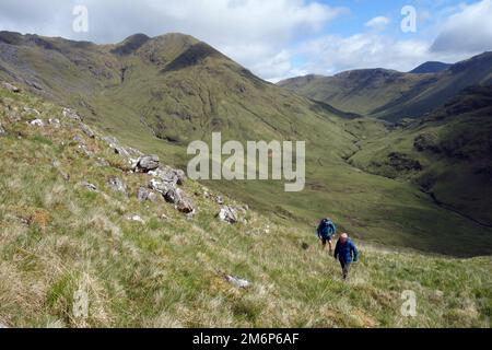 Deux hommes marchant vers le haut 'meall an Uillt Chhuile' sur le Corbett 'treap' avec 'Streap Comhlaidh' dans le fond au-dessus de Gleann Dubh Lighe près de Glenfinnan. Banque D'Images