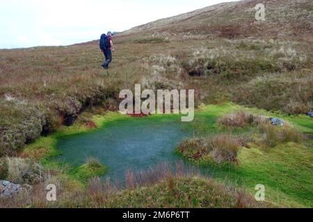 Homme marchant par des algues vertes dans un Lochan sur la route de la montagne écossaise Corbett 'Braigh nan Uamhachan' à Gleann Dubh Lighe près de Glenfinnan. Banque D'Images