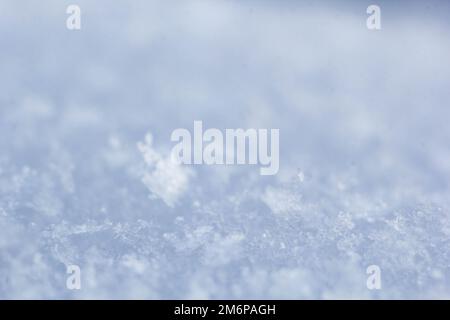 flocons de neige naturels sur la neige, photo de vrais flocons de neige. Hiver fond de neige. Gros plan sur le flocon de neige. Photo macro. Copier l'espace Banque D'Images